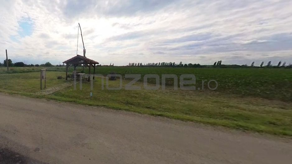 Teren | 21.000 mp | Moara Vlasiei | Caciulati | la cateva minute de A3 - Poză 3