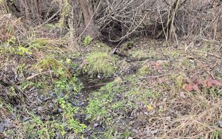 Teren de vanzare | Orlat | Extravilan - Poză 9