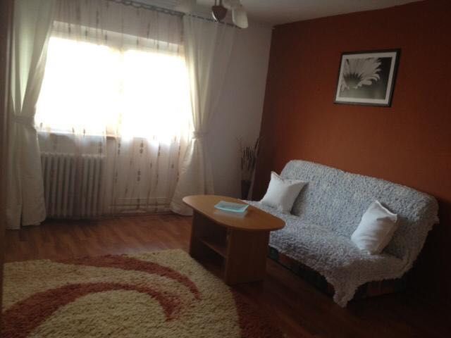 Garsoniera Decebal T273 - Poză 2