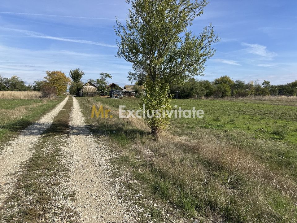 Teren intravilan 3700 mp la 28 km de Pitesti  - zona linistita - Poză 4