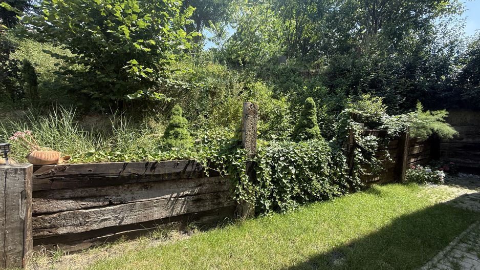 Casa individuala, Premium, Bucium, zona linistita - Poză 18