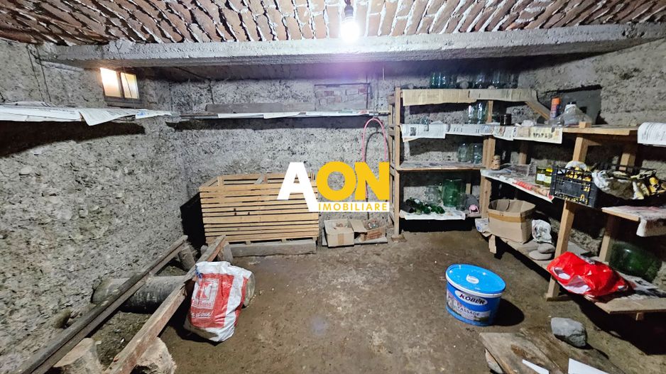 Casa renovata, 2 corpuri de cladire + anexe, 1331 mp teren, Paclisa - Poză 18