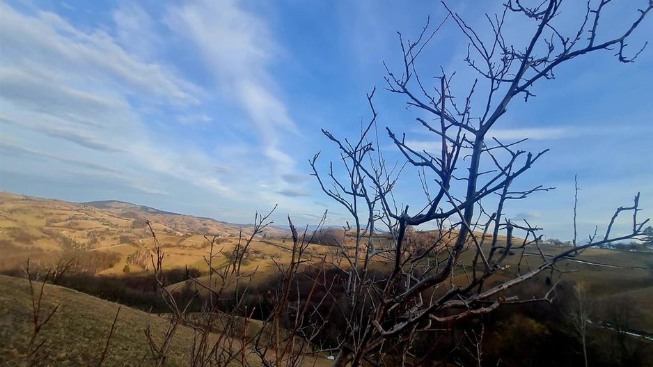 Oaza de liniste si frumusete, reconectare cu natura, 16.000 mp, Poiana Marului - Poză 17