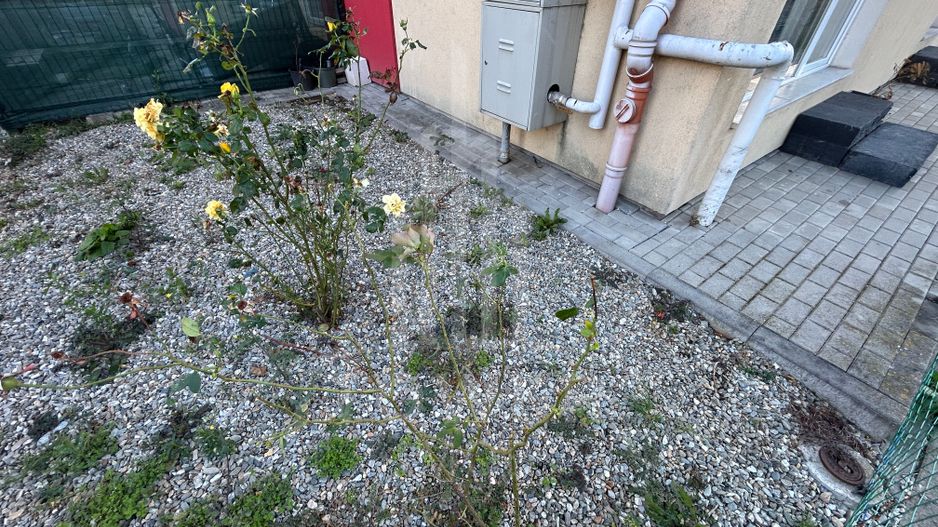 Apartament 3 camere cu terasa, Zona Turnișor - Poză 10