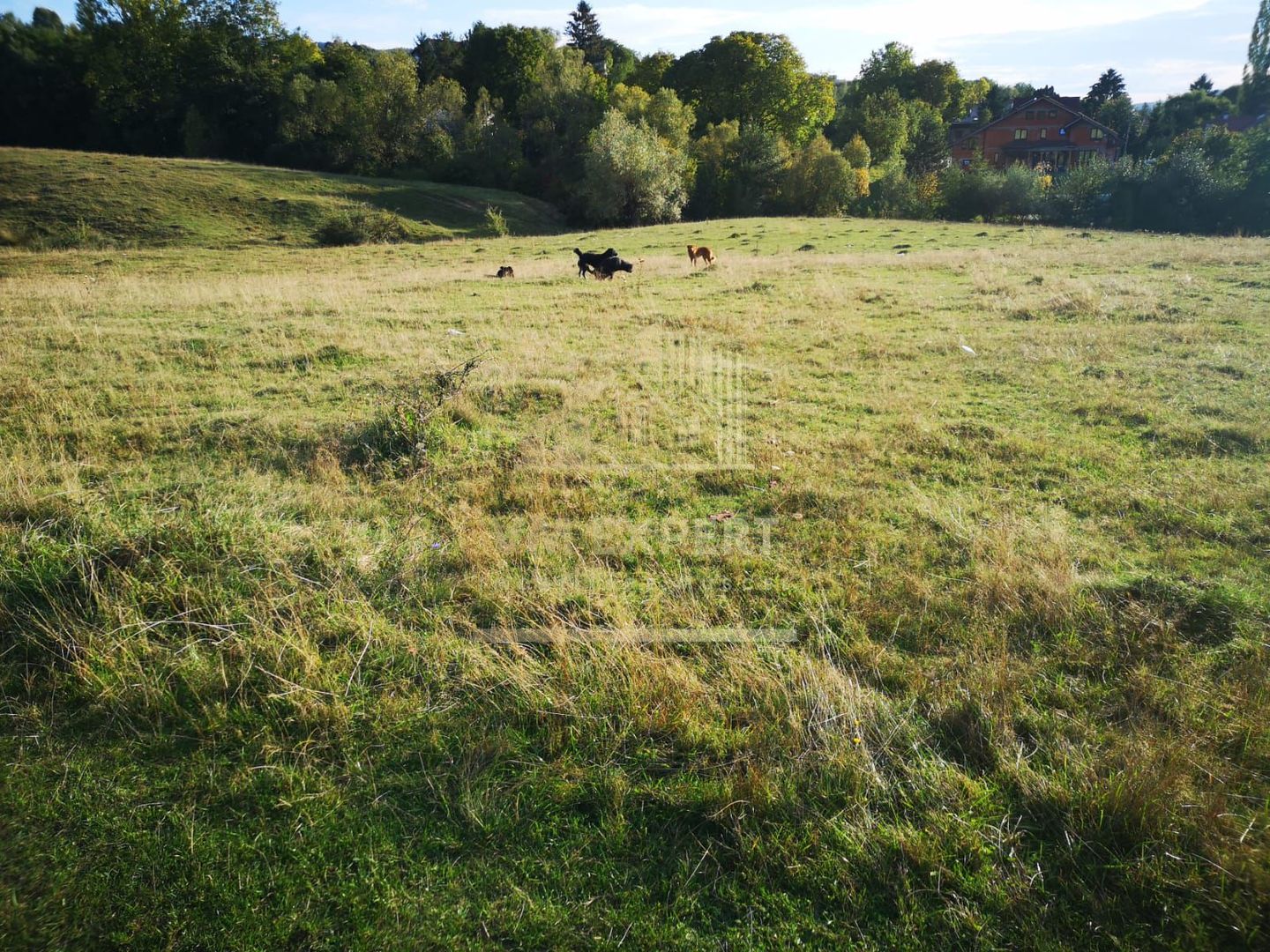 TEREN INTRAVILAN 9427 MP, CAMPULUNG - Poză 3