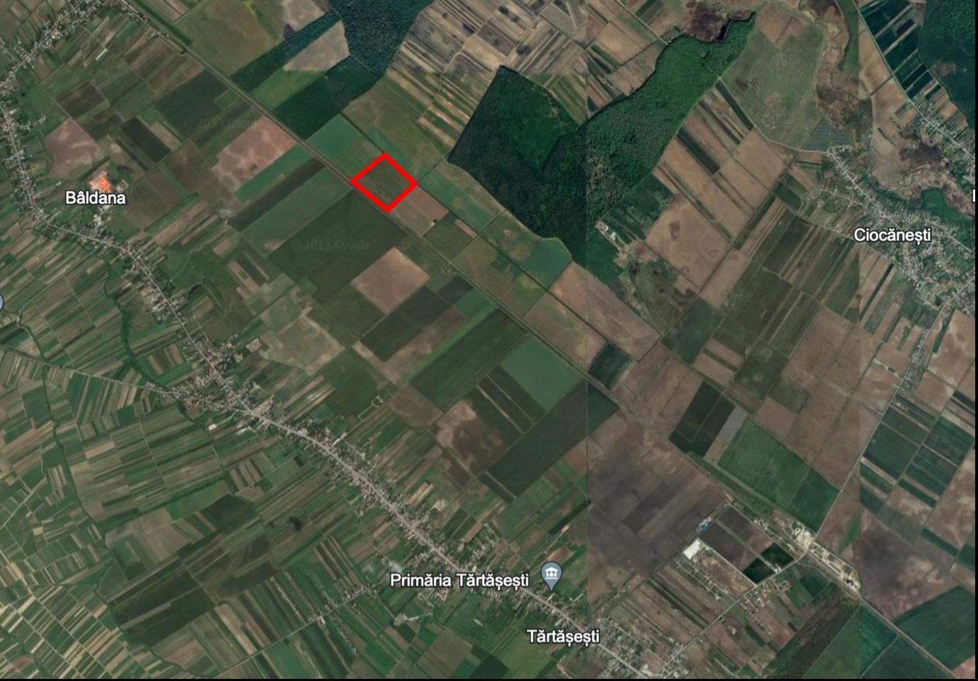 Teren agricol 13,5 hectare | Tartasesti | Ciocanesti | DB - Poză 1