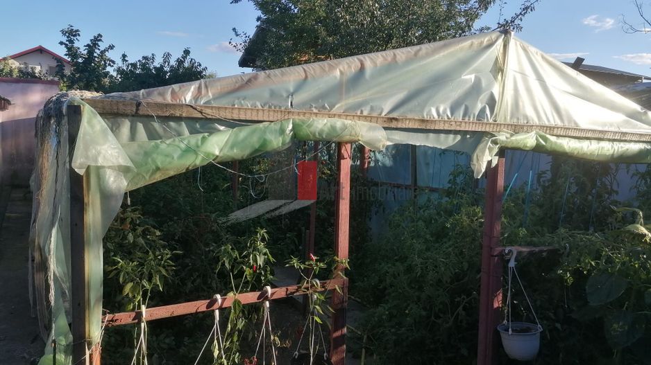 Dascalu-lfov-Vila D+P+M-5 camere-Locatie Deosebita - comision 0 - Poză 16