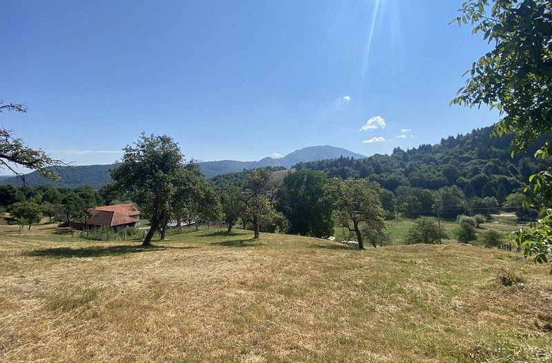 Teren extravilan de vânzare în Râșnov | 6.070 mp | Vedere panoramică - Poză 7