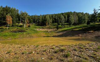 18000 mp de natura pura ,Lupeni, langa Straja - Poză 15