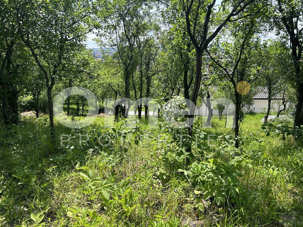 Teren de vanzare | 886 mp | strada Viilor, Baia Mare. - Poză 7