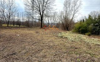 Teren intravilan 3171 mp | Cornu | 29 €/mp - Poză 5