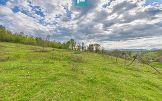 Casă cu teren de 17.681 mp, în loc. Hălmăgel, Arad - Poză 20