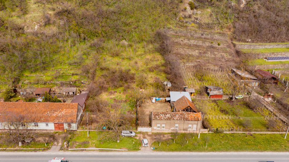 Teren Intravilan Pauliș - Poză 14