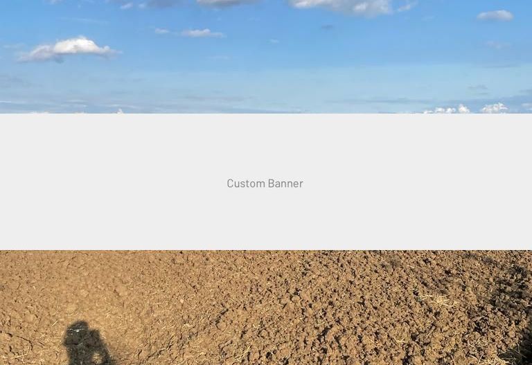 Teren intravilan Sanmartin P+4 curent apa - Poză 1