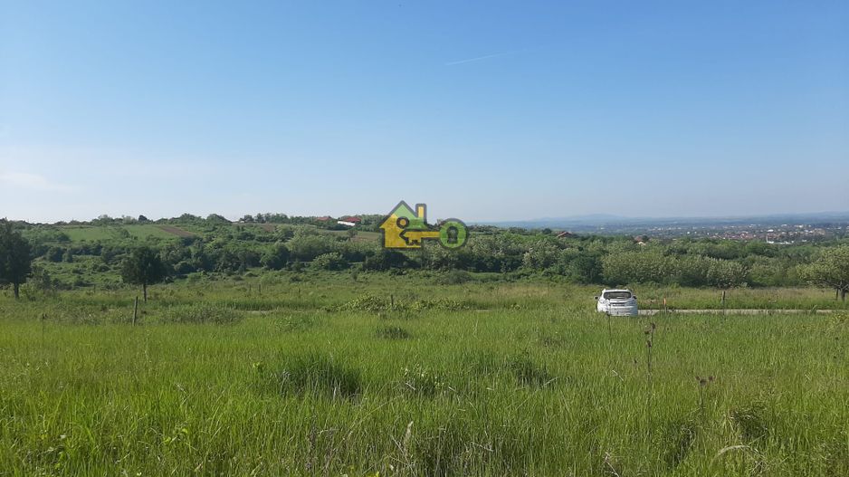 Teren Extravilan, Dealu Viilor, Lugoj - Poză 4