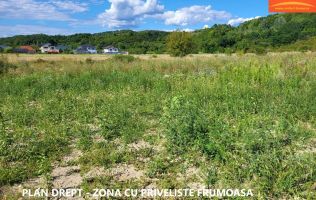 Teren intravilan Rm.Vl. Goranu-Calea Bucuresti 1100 mp aproape de oras
