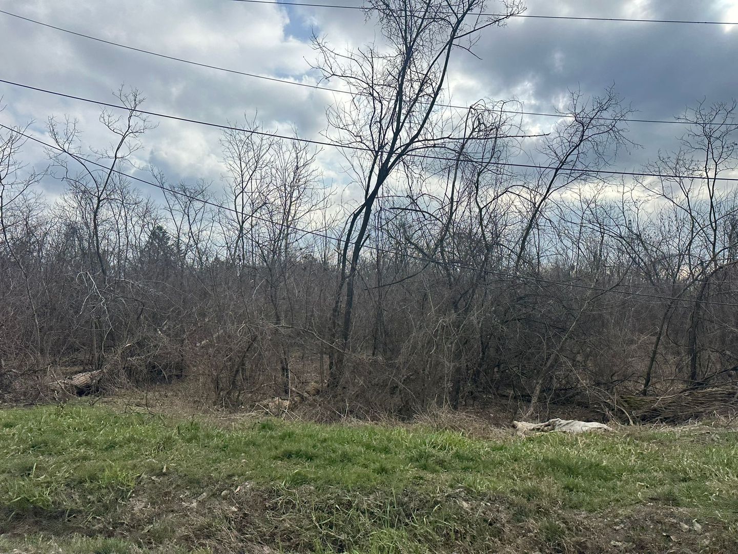 Teren intravilan cu PUZ aprobat 33.683 mp – Săftica/Balotești – deschidere DN1 - Poză 17