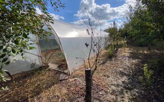 Casa in Dudestii teren 2712 mp - Poză 9