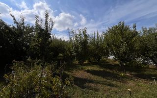 Casa/Vila de Vanzare 10 Ari Teren  I Suceava/Ipotesti I 245.000Euro - Poză 27