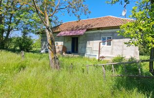 CASA TARANEASCA | TEREN 3000 MP | DESCHIDERE 52 M | COMUNA CIOLANESTI