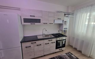 Apartament 1 camera Bucium-300Euro - Poză 7
