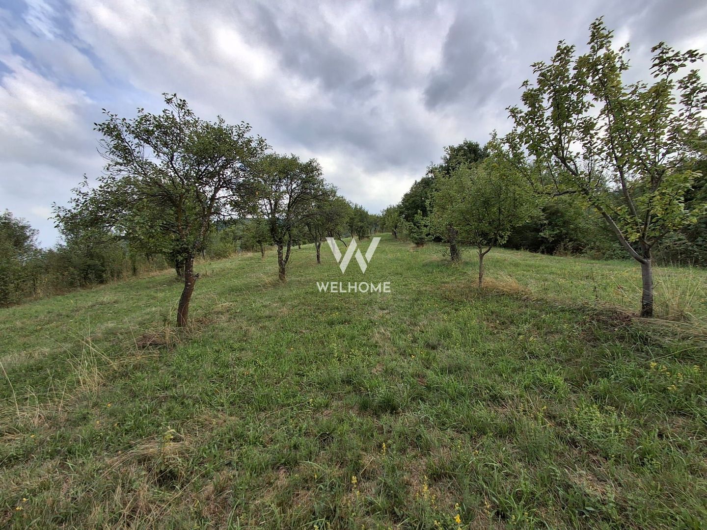 De vânzare teren extravilan în Sibiel, jud. Sibiu – 3223 mp - Poză 1