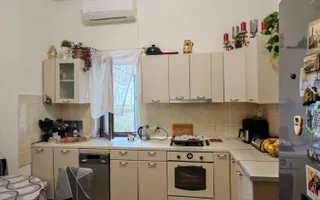Apartament la casa cu gradina de 480 mp, Zona Semicentrala - Poză 12