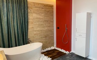 Vila Remetea Mare mobilata si utilata - Poză 16