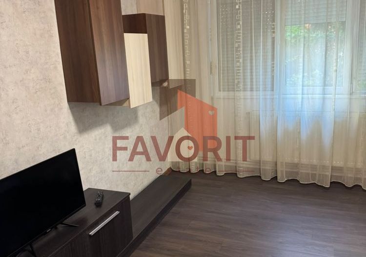 Apartament de vânzare – 42 mp – Parter – Zona Girocului - Poză 2