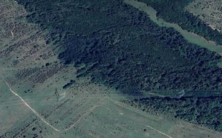 Pădure matură 12,71 ha - Mag, jud. Sibiu - potențial exploatare 2025 - Poză 1