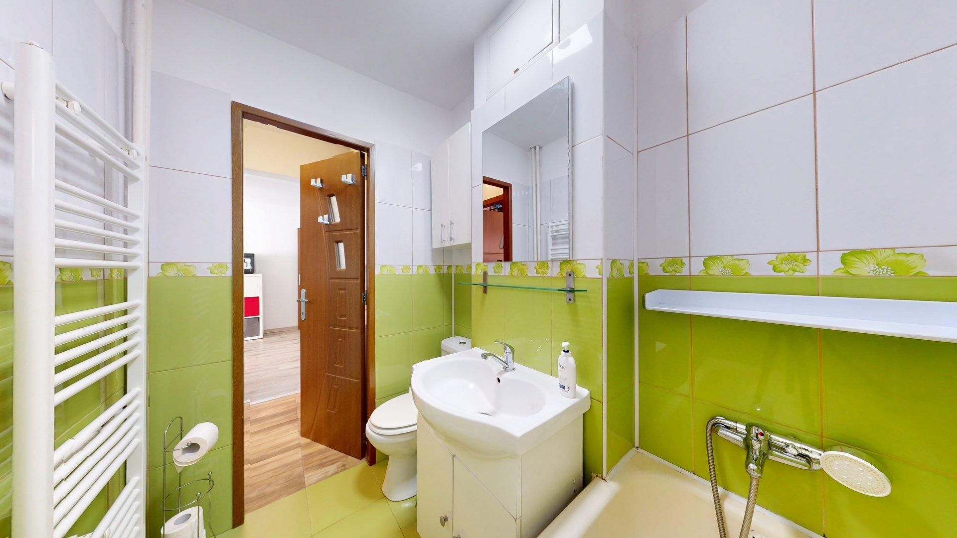 Apartament 3 camere Lacul Tei Teiul Doamnei Doamna Ghica - Poză 16