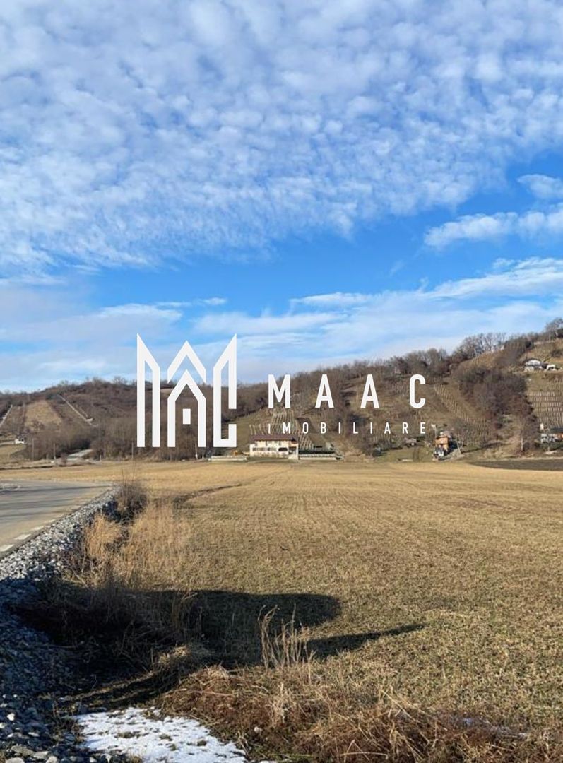 Parcele | 800 MP | Pentru Grădini și Cabane | Cristian - Poză 3