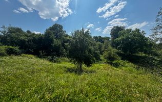TEREN INTRAVILAN 2146 MP, ALBESTII DE MUSCEL, ARGES