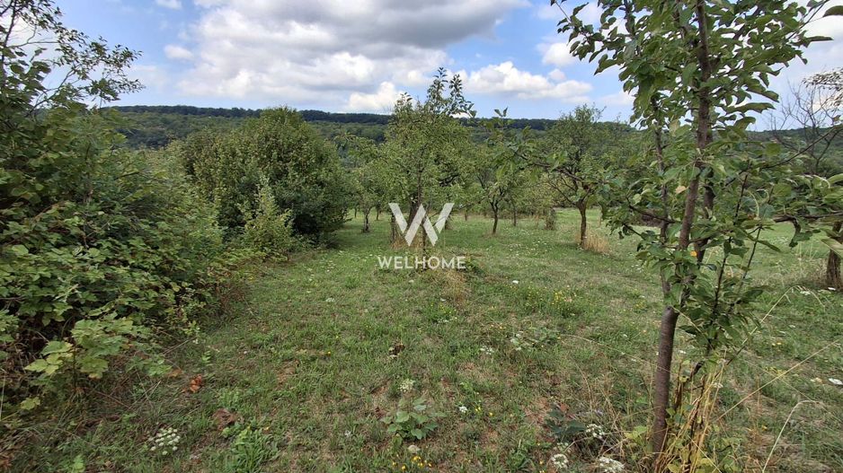 De vânzare teren extravilan în Sibiel, jud. Sibiu – 3223 mp - Poză 8