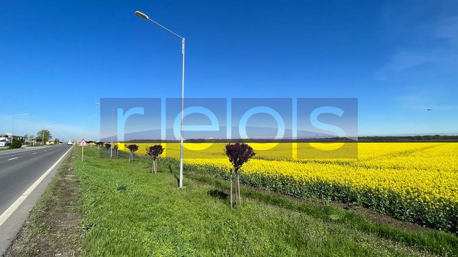 Teren 3H Makita Branesti deschidere 30 mp - Poză 5