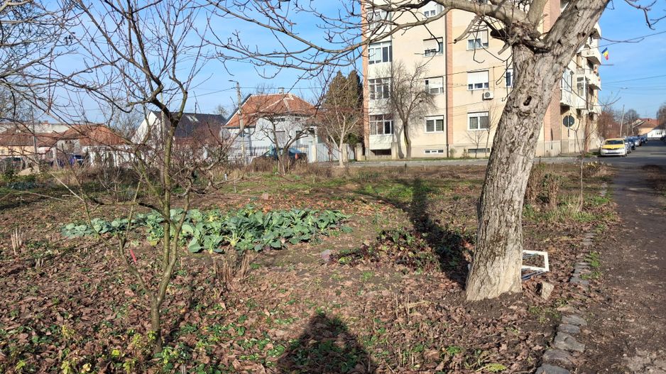 BRASADAS vinde 2000 mp. teren intravilan Diana Titulescu. - Poză 5