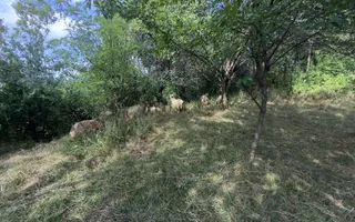 CASA 3 CAMERE TEREN 7770 MP BOTENI ARGEȘ - Poză 26