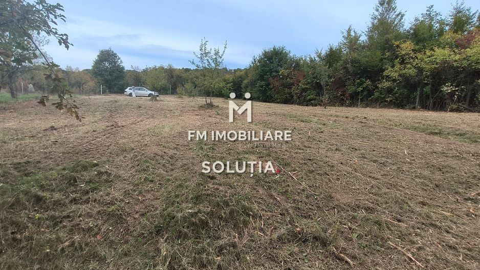 Teren intravilan de vânzare – 14 ari – Buzești – 25 minute de oraș - Poză 1