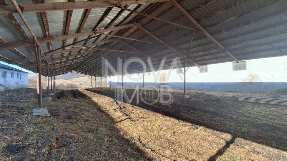 Ferma complet echipata de vanzare – zona Agnita, judetul Sibiu - Poză 10
