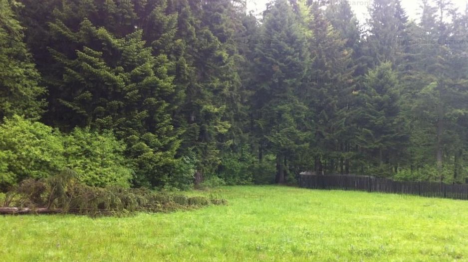 Teren intravilan Cotul Donului,pretabil Hotel/pensiune. - Poză 9