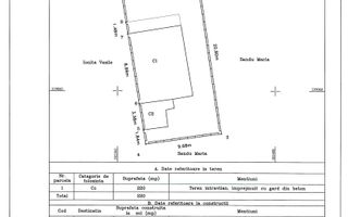 Vila de inchiriat -5 camere- OTOPENI - Poză 11