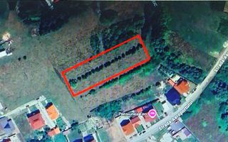 TEREN INTRAVILAN - STRADA AEROPORTULUI\ CARANSEBEȘ\JUD.CARAȘ-SEVERIN - Poză 8