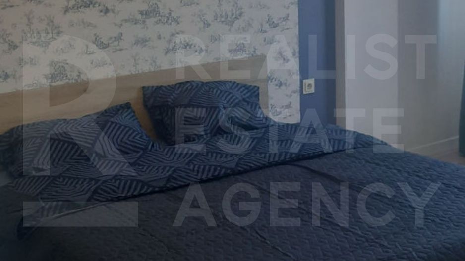 Chirie, apartament, 2 camere, str. Arheolog Ion Casian-Suruceanu, Bota - Poză 4