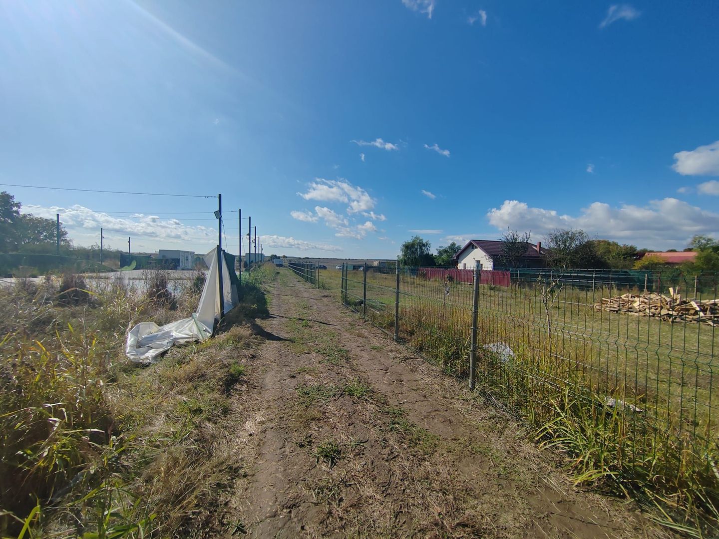 Gagu Dascalu teren ideal pentru investitie zona in dezvoltare - Poză 8