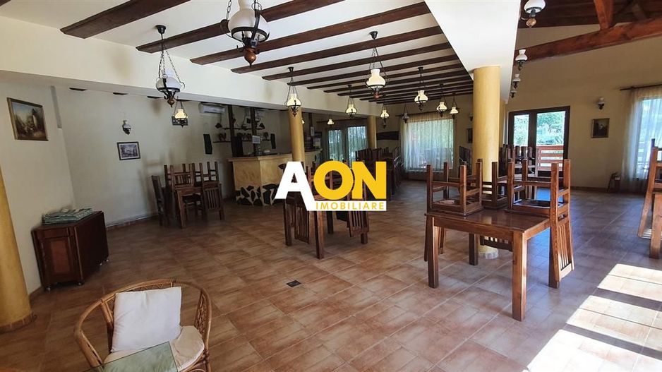 Pensiune cu 9 camere, 1257 mp teren, Micesti - Poză 14