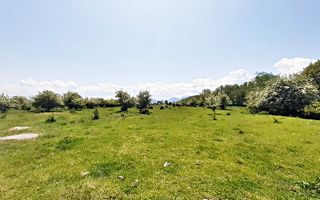 Sanpetru teren pentru dezvoltare imobiliara 4318mp, 60 euro/mp - Poză 5