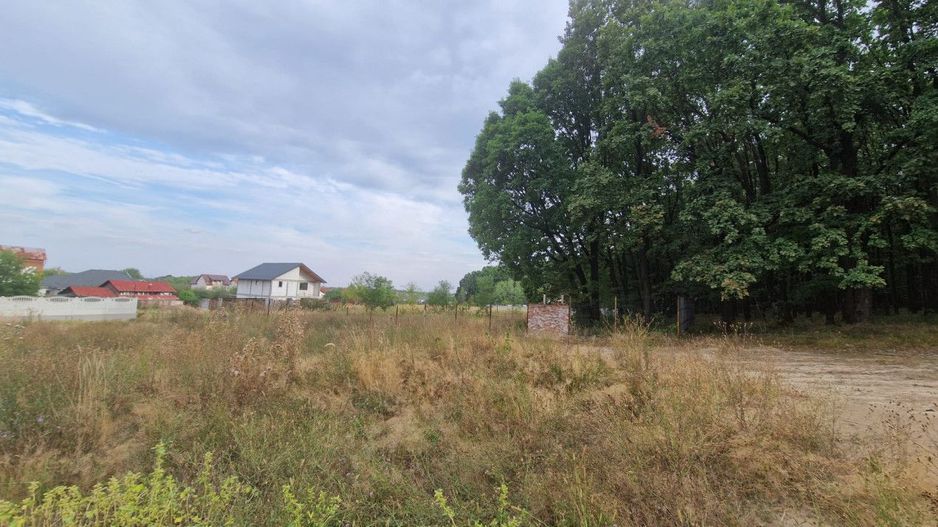 AZURA Imobiliare - Vanzare teren Hintesti, langa padure, 300m din DN - Poză 12