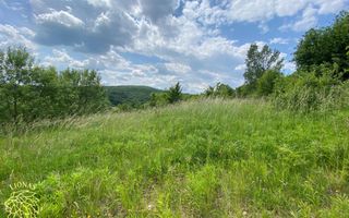 Teren intravilan 2800 mp cu utilitati-ideal case-Valea Ghinzii - Poză 6