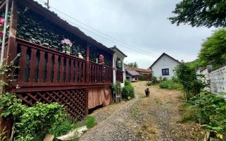 Casa renovata cu teren 7000mp la 19 km de Deva – Sat Nojag, Hunedoara - Poză 4