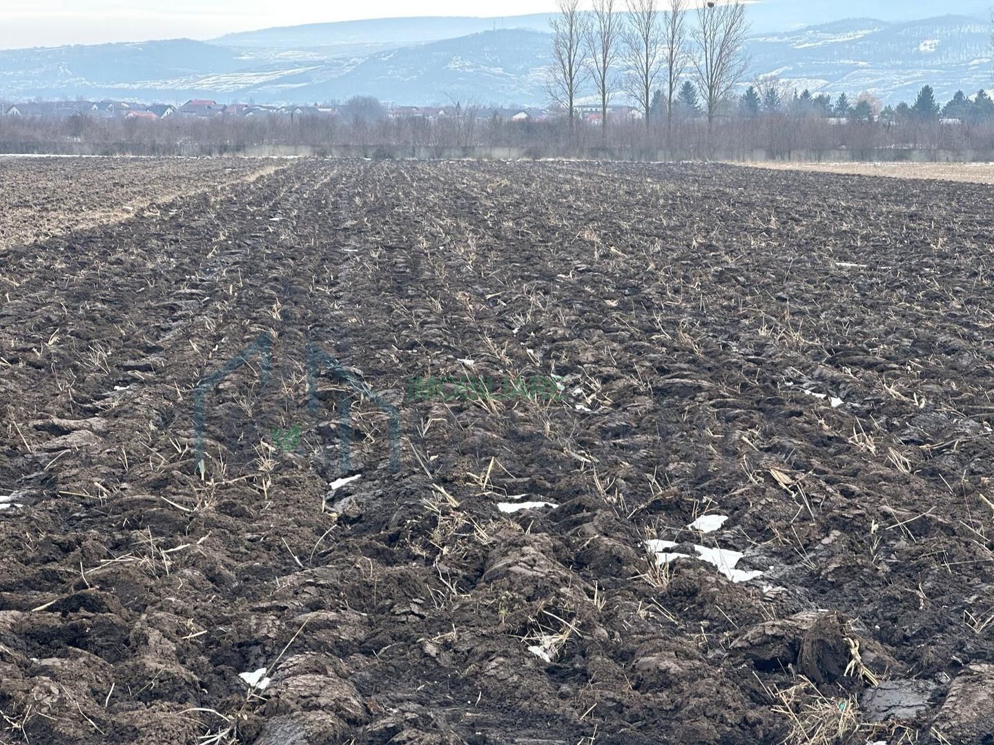 Teren Dancu deschidere la doua drumuri - Poză 7